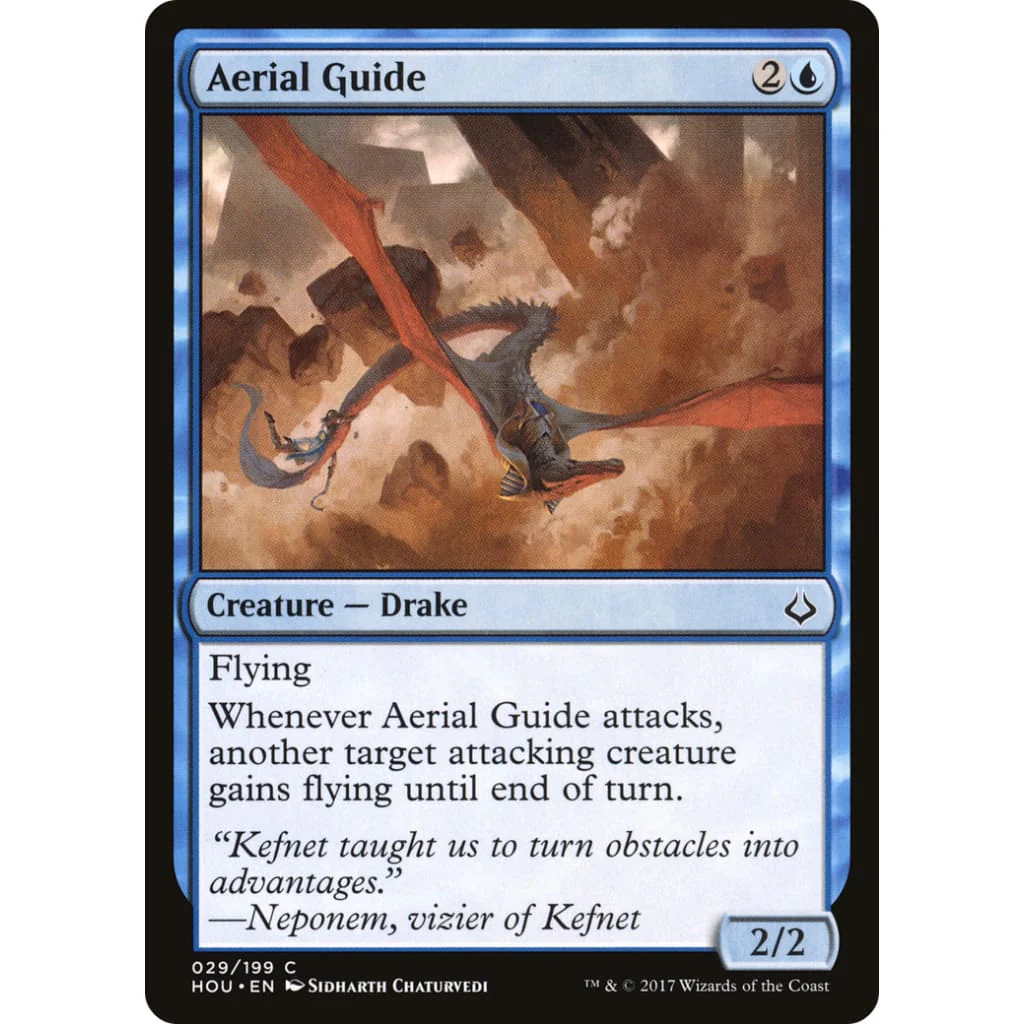 Aerial Guide (HOU-029)