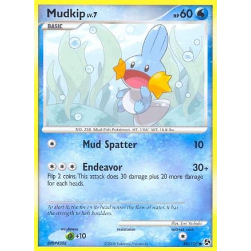 Mudkip (80) Common