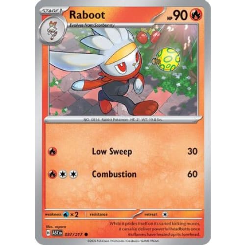 Raboot (37) Common